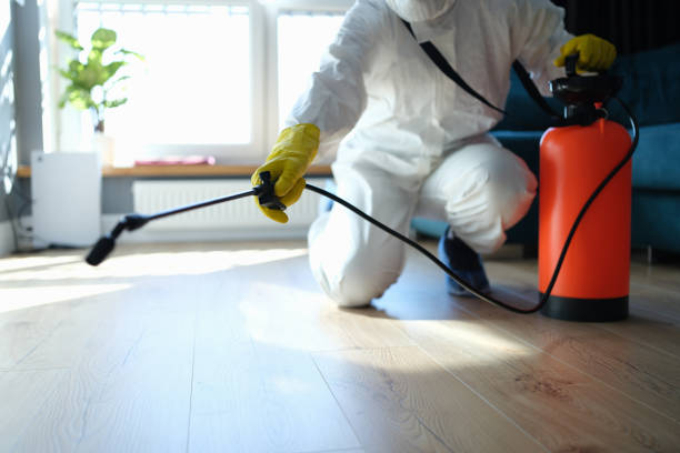 Reliable Sewage Cleanup contractor in Peapack, NJ by Trauma Clean Pros